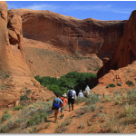 Camping and Hiking Escalante