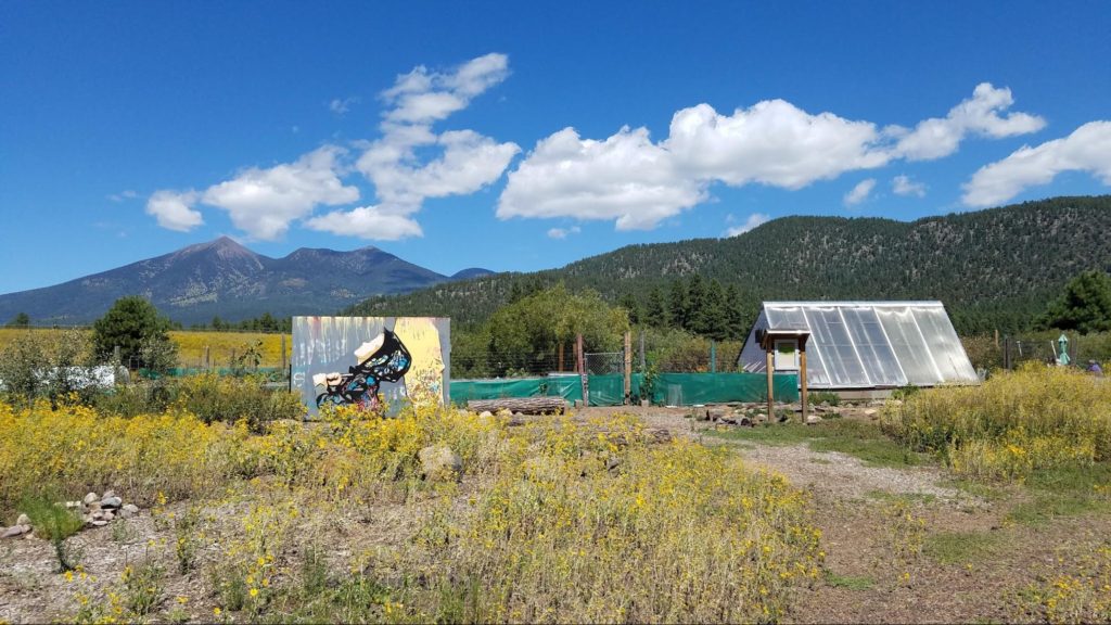 Colton Community Garden Museum Of Northern Arizona