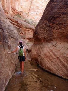 Hiking Escalante