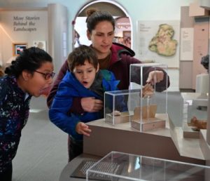 Kid looking at display case