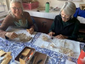 Seed sorting volunteers