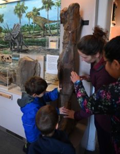 Kids touching a bone