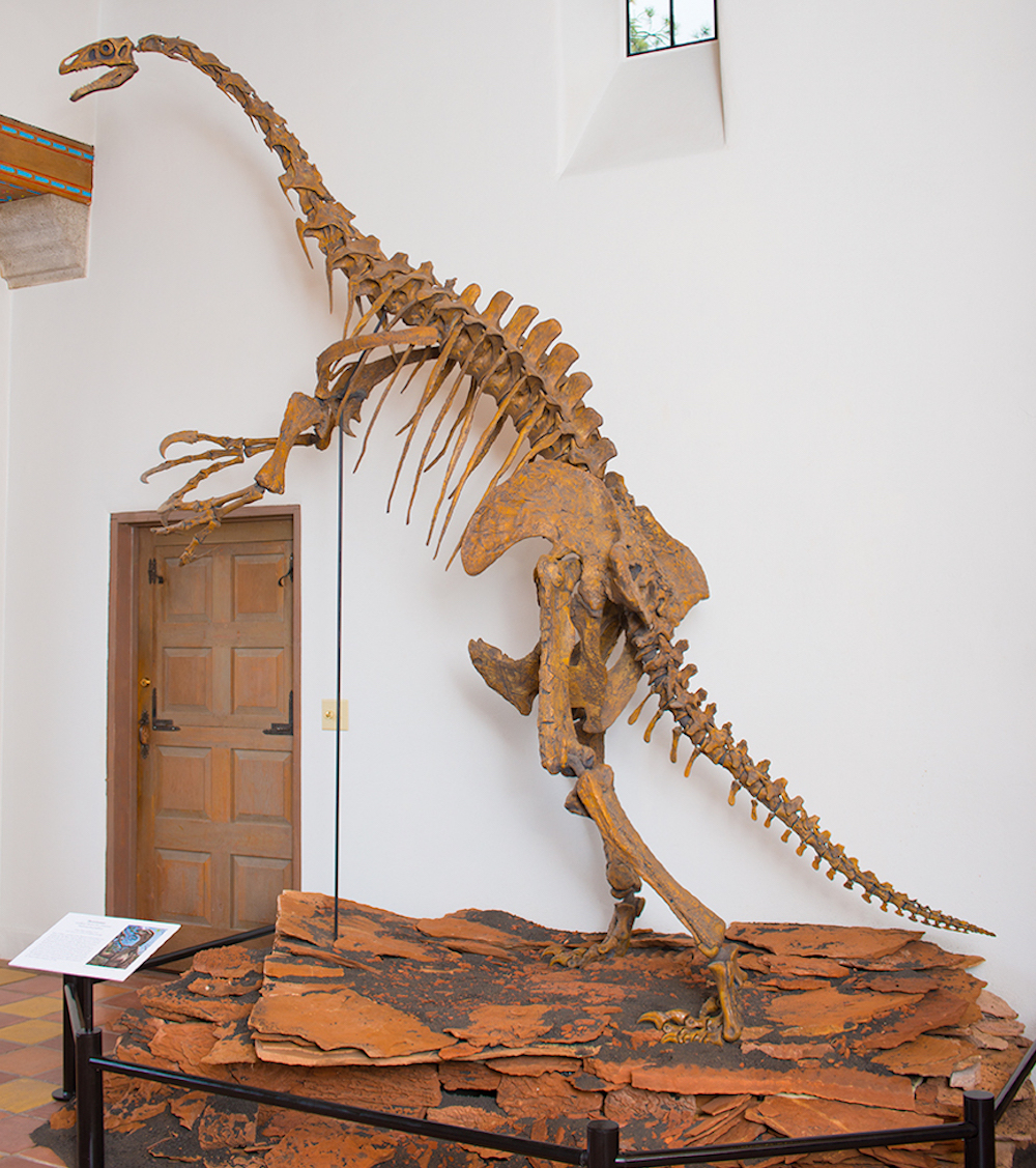 Therizinosaurus Skeleton