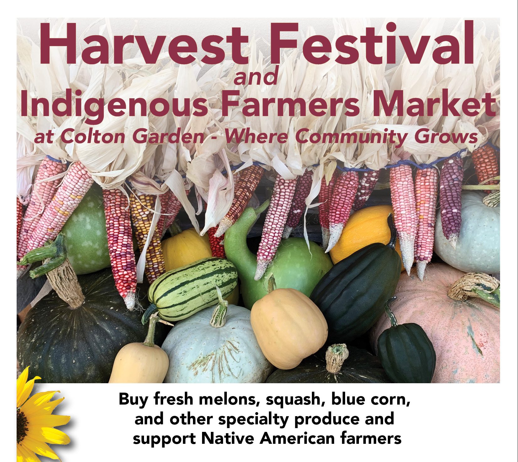 Harvest Festival and Indigenous Farmers Market Museum of Northern Arizona